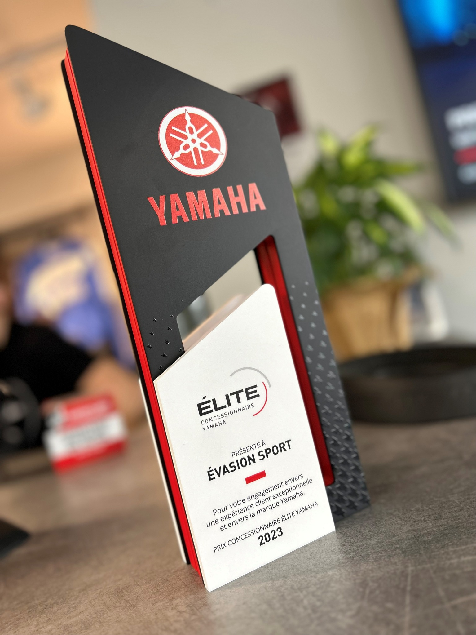 Bienvenue chez P&L Sales & Service